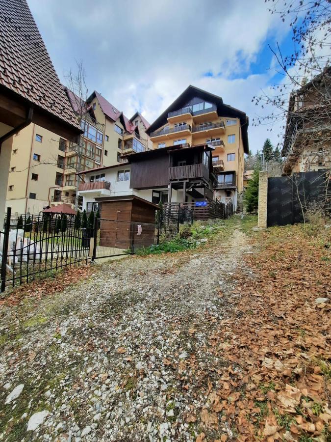 Studio Furnica Sinaia Exteriér fotografie
